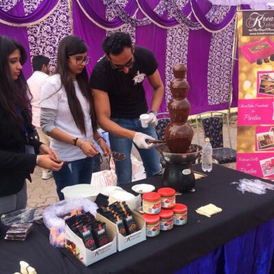 Exhibiton Panjab University Chandigarh 2017